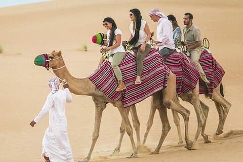 VIP Combo: Dubai City Tour, Desert Safari, and Abu Dhabi Day Trip
