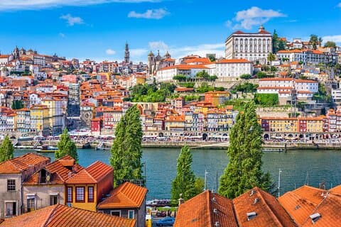 Porto Private Luxury City Tour From Lisbon