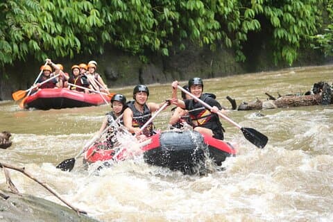 Bali White Water Rafting com o acesso mais fácil - Zero Step Up