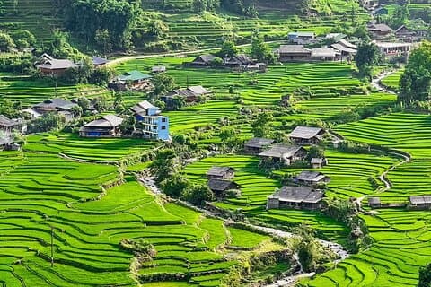De Sapa: Excursão guiada por terraços de arroz e aldeias étnicas