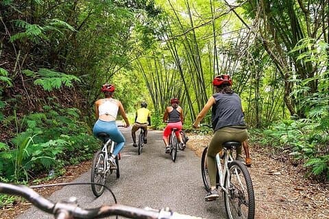 Experiência de passeio de bicicleta Blue Mountain