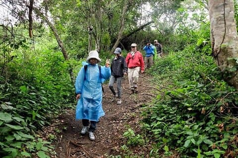 5 - Dag Gorilla Tour og Chimpanze Tracking i Uganda