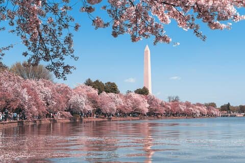 Reflecties op een Nation Self-Guided National Mall Hoogtepunten Tour