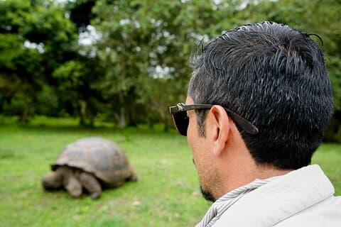 Transfer Baltra til Santa Cruz + Galapagos Tortoise Besøk | Delt