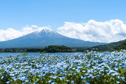 Excursion d'une journée au mont Fuji autour du lac Kawaguchiko