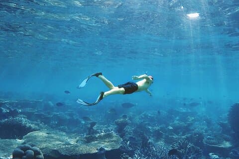 Cancún : Aventura de snorkel en el Arrecife Puerto Morelos