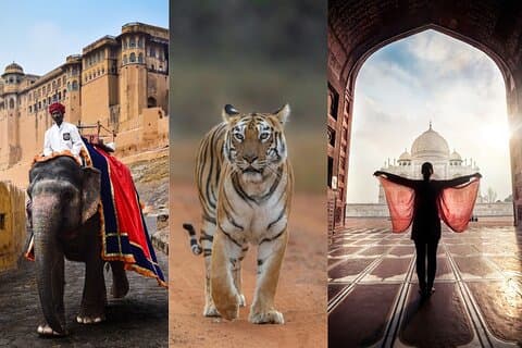 7-dages Golden Triangle Tour med Ranthambore og Udaipur