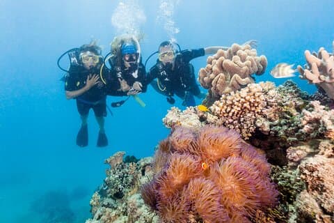 7 Day Brisbane to Cairns Boutique Whitsundays Great Barrier Reef