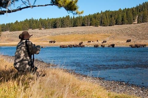 Yellowstone gjennom linsen fotografering eventyr