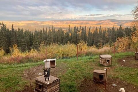 Sluice Box Kennel & Husky livserfarenhet