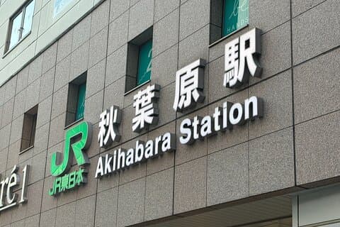 Tour de compras con tarjeta comercial de Akihabara con guía local