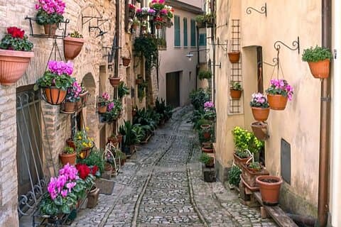 Assisi Day Trip with Olive Oil Tasting and Guide