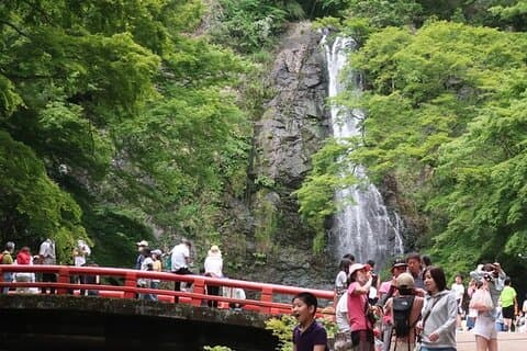Katsuo-ji, Minoo Falls, Todai-ji, Arashiyama & Nara Park Tagestour