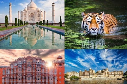 Tour di 8 giorni Delhi Agra Ranthambore Udaipur Jaipur Delhi.