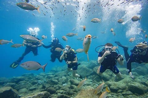 Descubra a aventura de mergulho em Tenerife