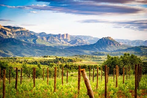 Herència Altés Weinliebhaber Tour Weinberg Spaziergang und Verkostung