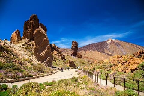 Parco Nazionale del Teide Safari Ride Vulcano Paesaggi e fauna selvatica
