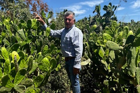 Fruit Garden og Mezcal Tasting Tour med lunsj inkludert