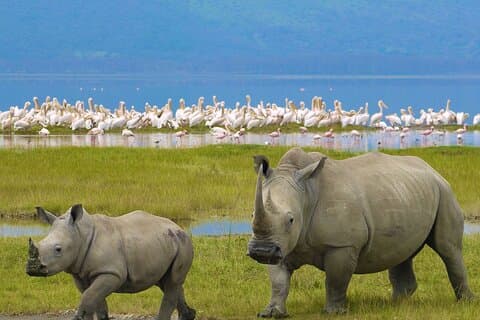 4 Tage Private Camping Safari