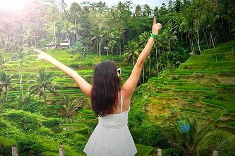 Ubud Day Reiser: Vannfall, Tempel, Ris terrasse, skjult skog