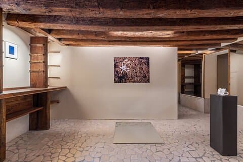 Venice Wine Tasting and Contemporary Art