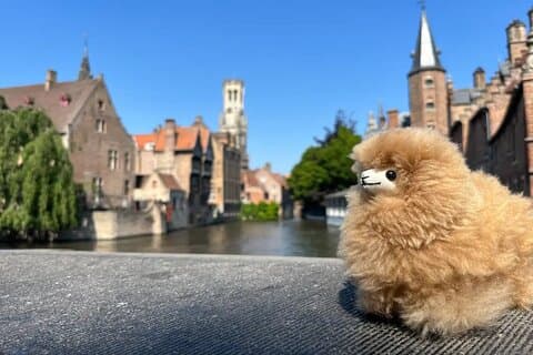 Bruges vandretur med belgiske madsmagninger og privat guide