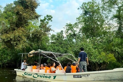 Kota Kinabalu: Beringgis Mangove Fireflies, Sunset Tour & Dinner