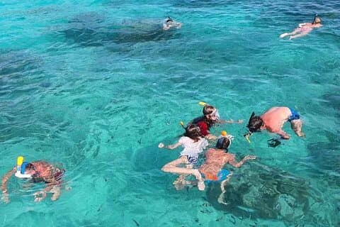 Glassbottom Boat & Crystal kayaks SteAnneMarinePark Snorkelling