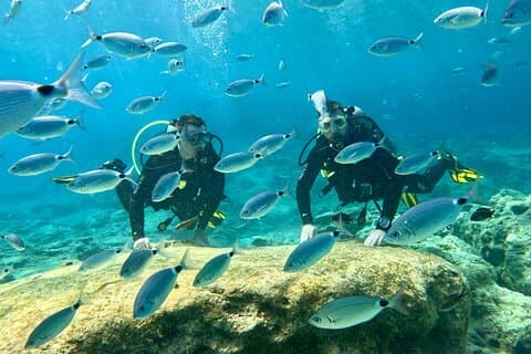 Scuba Diving with a private guide, without certification