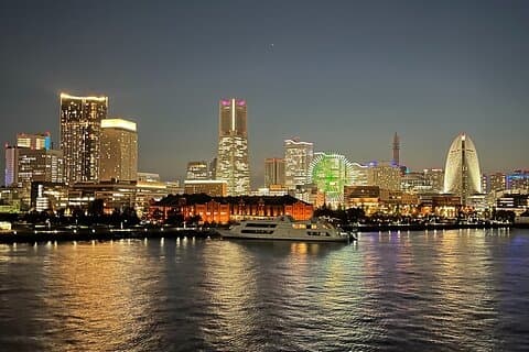Yokohama Highlights Privat halvdags tur: