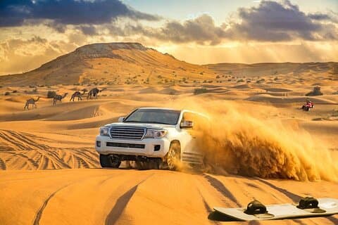 Experience Red Dune Safari Shows, Camels, BBQ & ATV Bike in Dubai