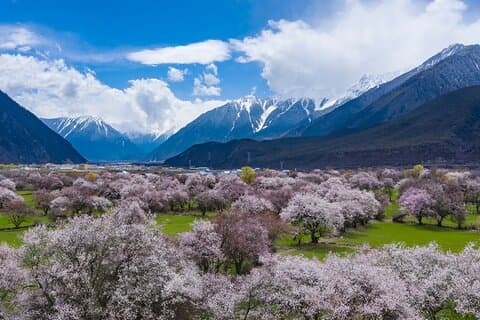 Small Group:Explore Tibet: 8-Day Journey