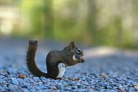 Sydney City Roots and Wildlife Trails of Cape Breton Island