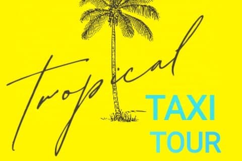 Privat taxi fra flyplassen til havner og hoteller (25mnts Drive)