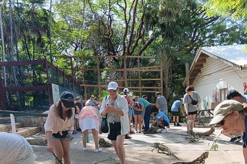 アイランドツアーフードテイスティングイグアナ農園とビーチブレイク