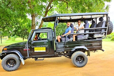 Tour Safari Todo Incluido en el Parque Nacional Wasgamuwa desde Kandy