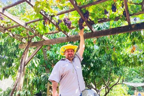 Vinhos e Maravilhas das Colinas da Judeia - Tour Privado de Vinhos
