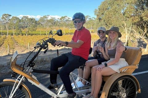 eTukTuk Adventure from Oxenberry Farm in McLaren Vale