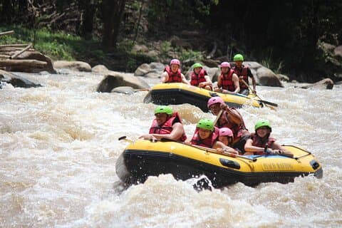 Halvdags elefantpleie og Whitewater Rafting-eventyr