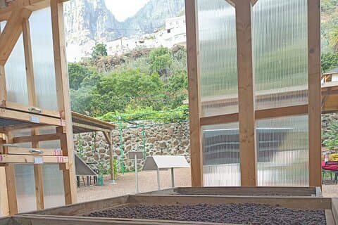 Scopri il caffè di Gran Canaria alla Finca Los Castaños