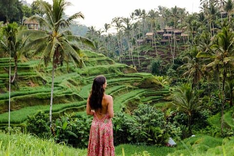 Ubud Premium Escape – Découvrez le paradis caché de Bali