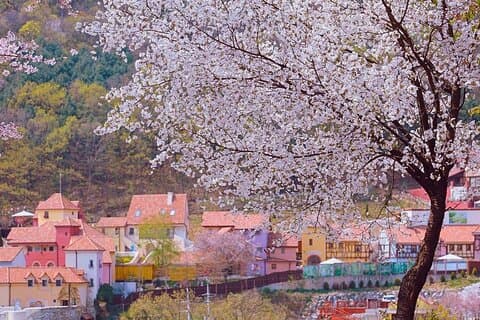 Nami, Petite France, pueblo italiano y Gangchon Recorrido en bicicleta en tren