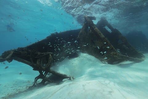 Snorkelopplevelse i Cancun! Reef og sunket skip