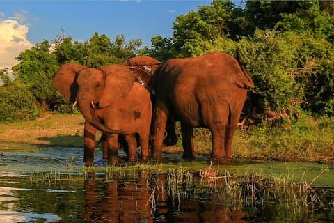 3 Day Tala Game Reserve Drakensberg Mountains and Sani Pass