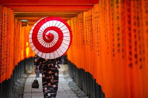 Osaka/Kyoto : Excursion d'une journée à Arashiyama, Fushimi Inari et Nara Park