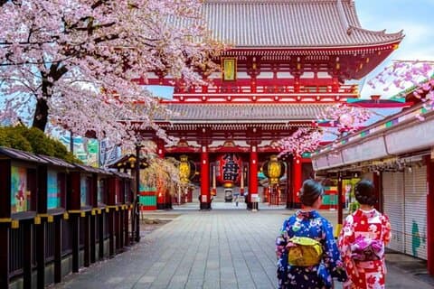 Visite en petit groupe de 9 jours du meilleur du Japon en fleurs de cerisier 2026
