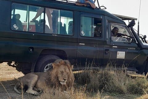 4-daagse privé Masai Mara Safari met Lodge Luxe met Jeep