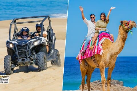 Cabo UTV y Camello Ride Combo