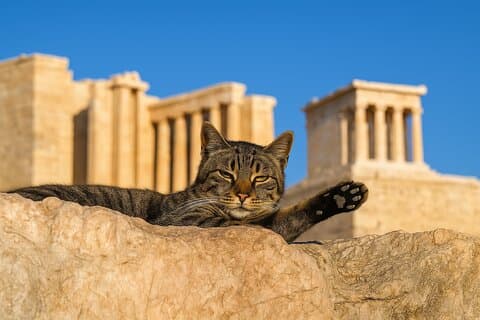 Athen: Acropolis Premium guidet tur med skip-the-line billetter