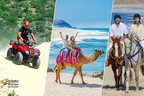 Cabo ATV Adventure with Camel and Horseback Ride